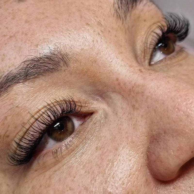 Brows & Lashes